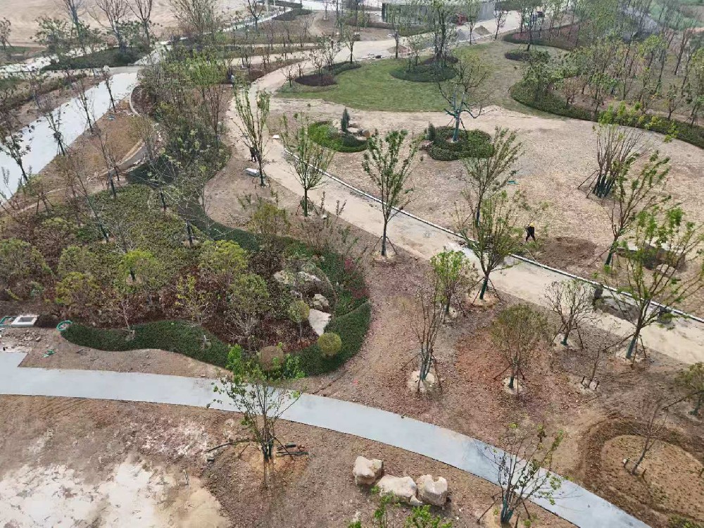 头条新闻：蚌山区景观公共绿廊（公园）进入建设尾声