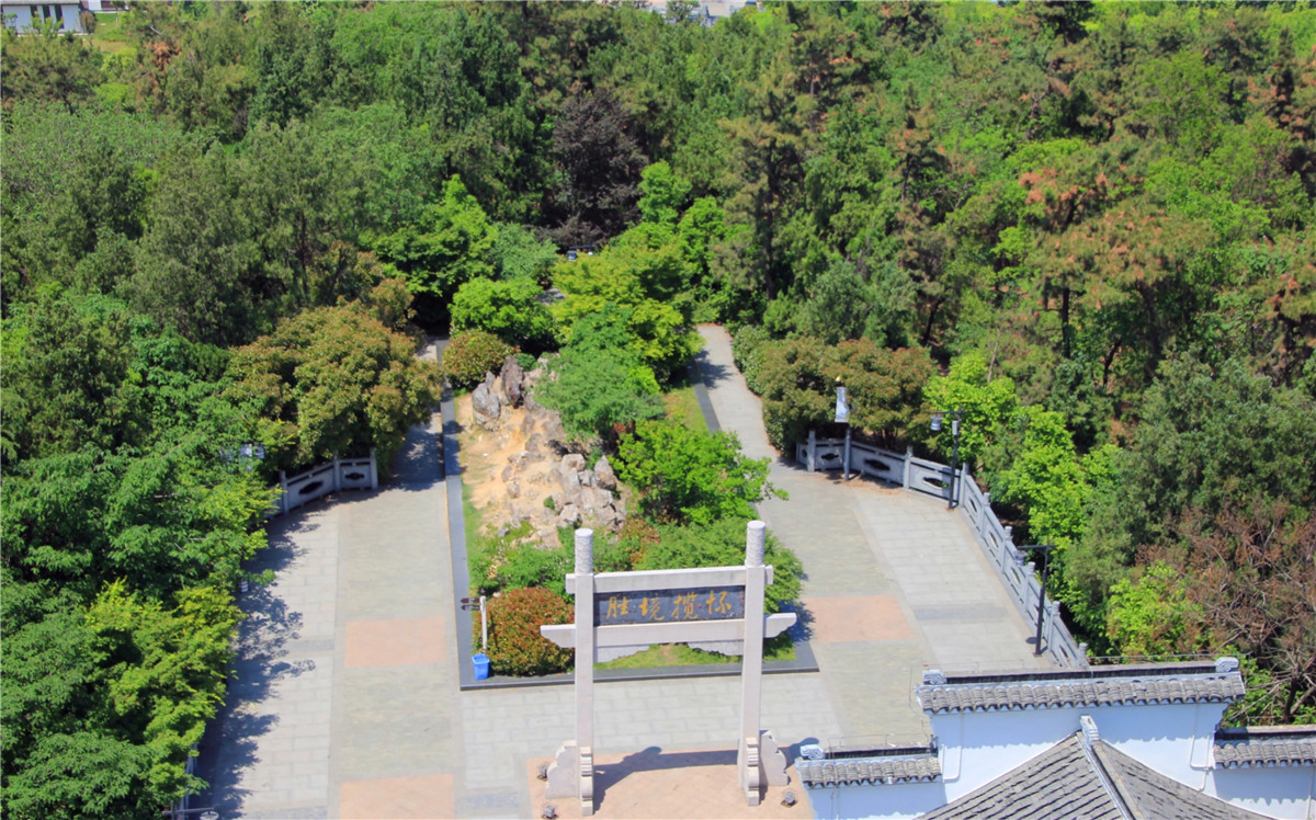 蚌山景观园林绿化工程